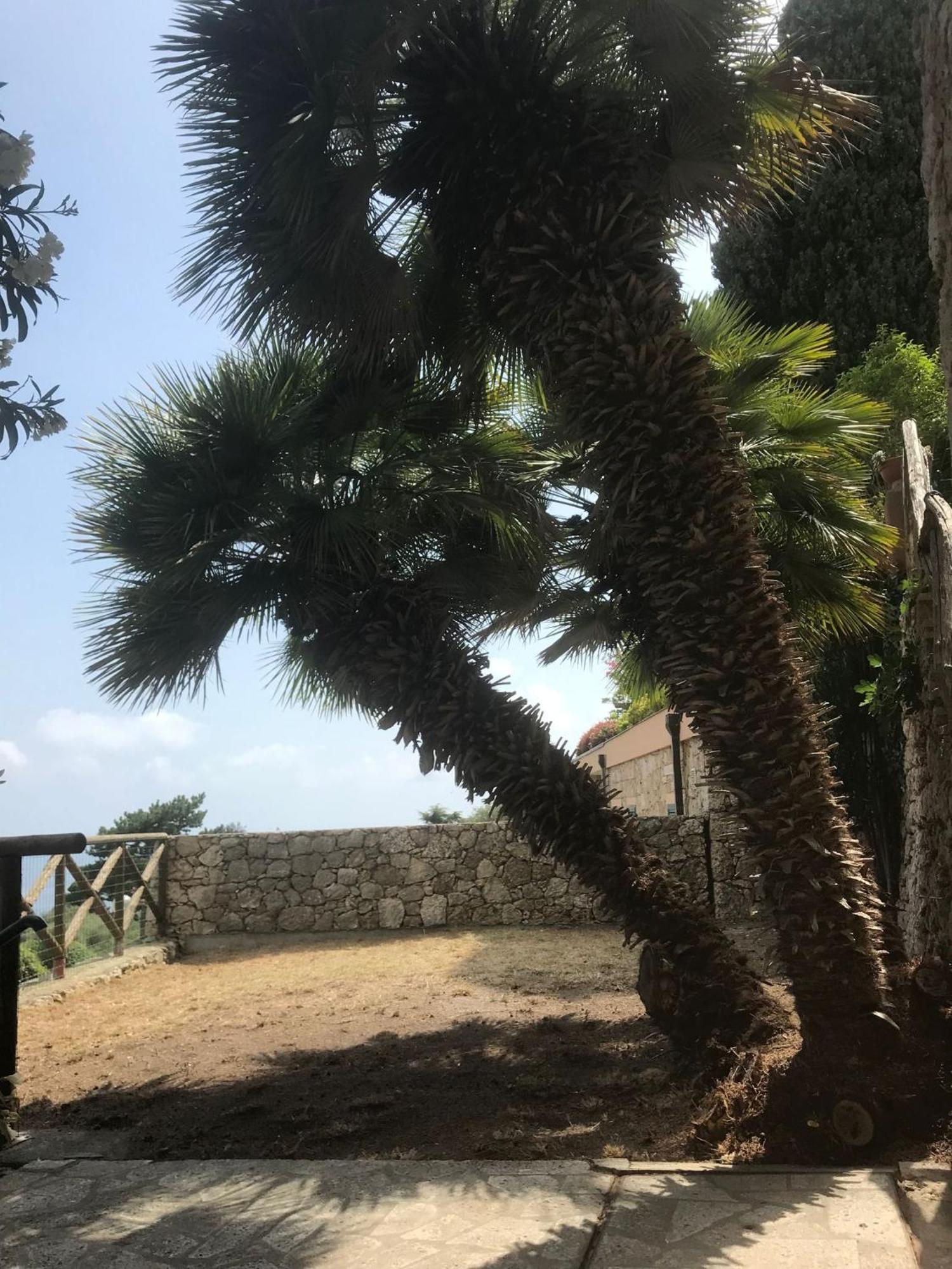 Apartamento La Cita Ca - Vista Mare Finale Ligure Exterior foto